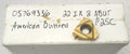 Lot 200-1230 Carmex 22IR 8 ABUT Laydown American Buttress threading inserts